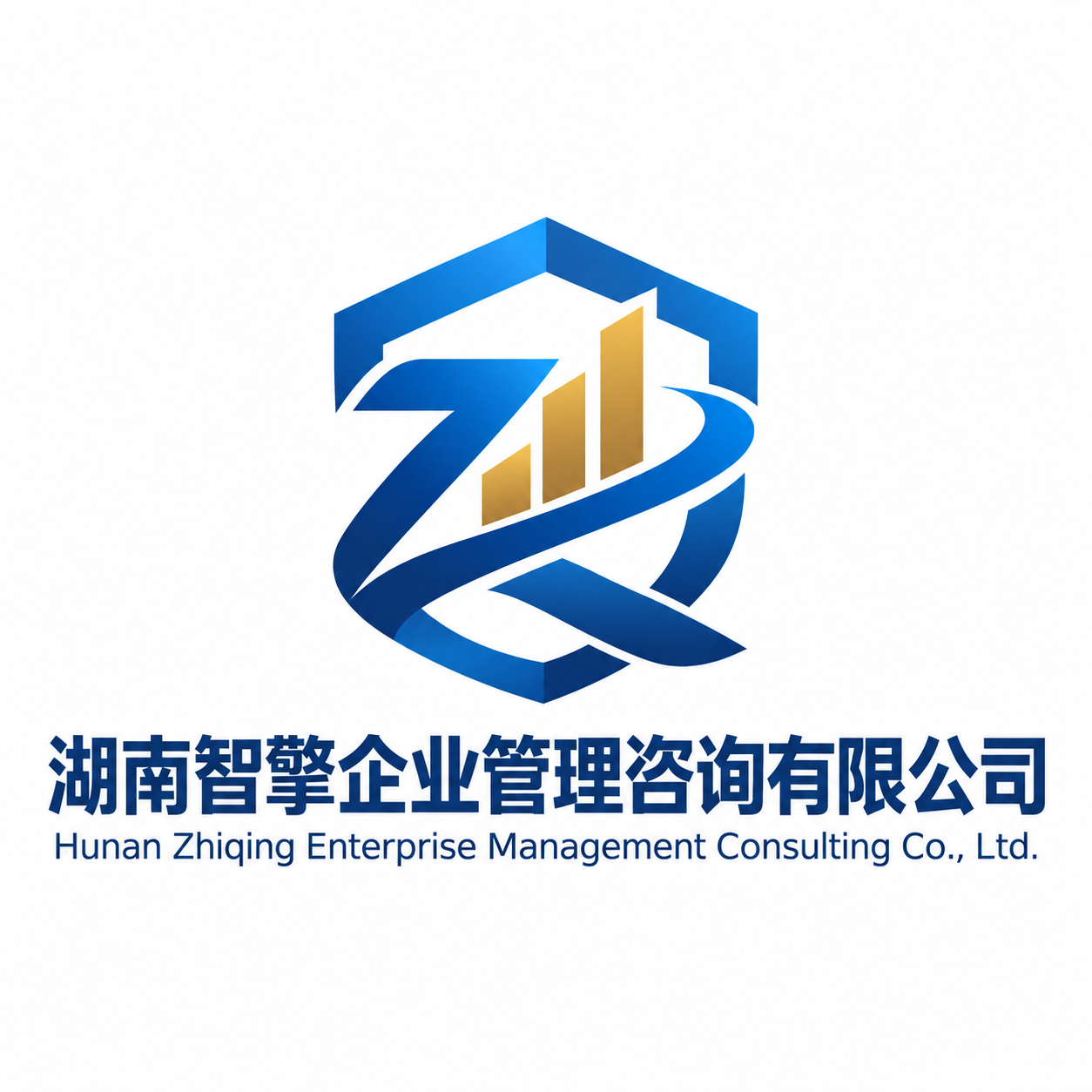 湖南智擎